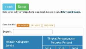 Penanganan Persoalan Pengangguran di Kabupaten Bekasi Perlu Terobosan 1 Foto istimewa