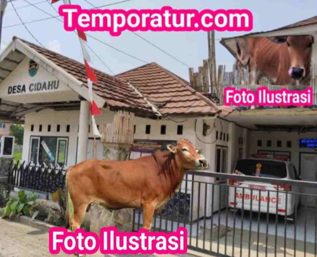 Foto Ilustrasi 