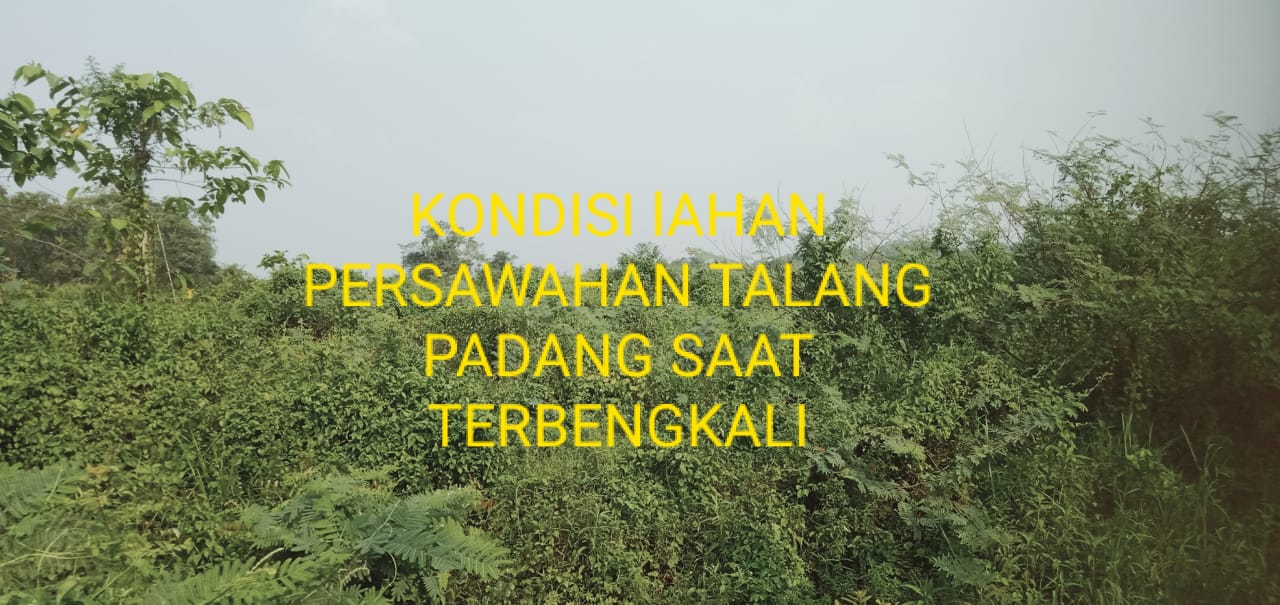 IMG 20231201 WA0000